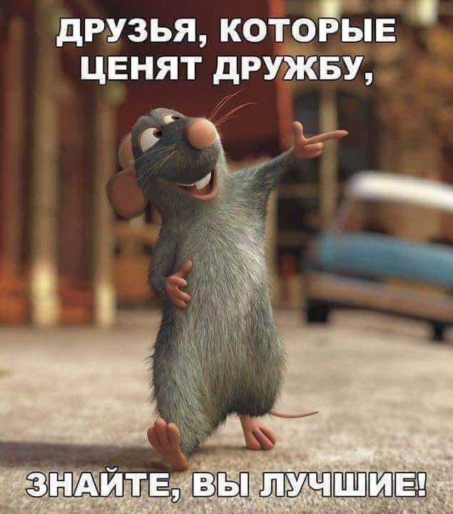 р друзья кото ьн _ ценят дРУёйБУ