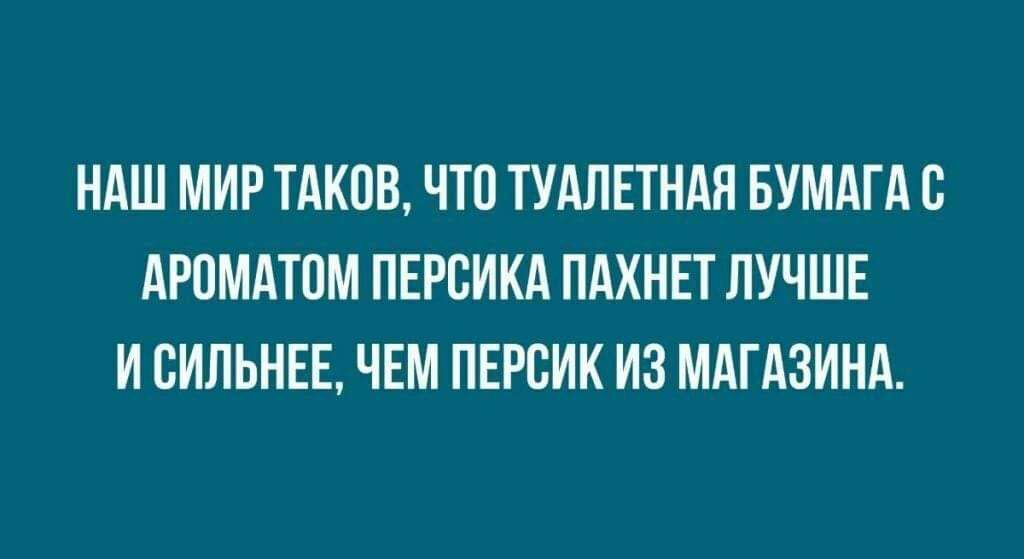 НАШ МИР ТАКПВ ЧТ0 ТУАЛЕТНАЯ БУМАГА АРОМАЮМ ПЕРЕИКА ПАХНЕТ ЛУЧШЕ И ПИЛЬНЕЕ ЧЕМ ПЕРСИК ИЗ МАГАЗИНА