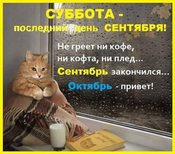 ии офта ни плед Сентябрь закончился Октябрь привет
