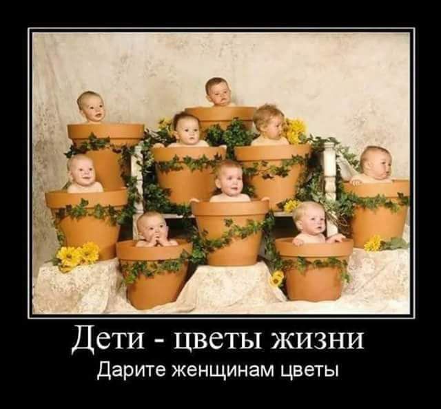 ДСТИ ЦВСТЫ ЖИЗНИ дарите женщинам цветы