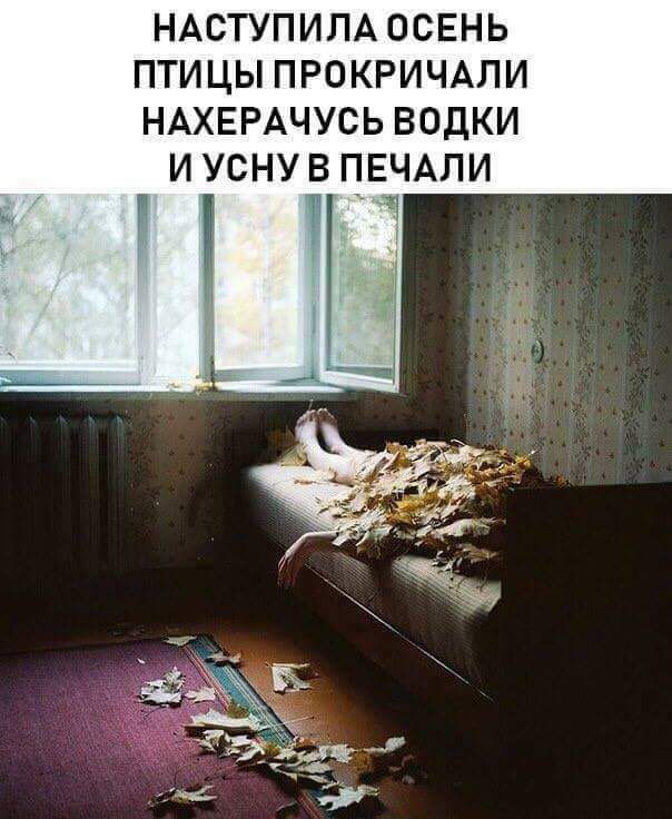НАСТУПИЛА ОСЕНЬ ПТИЦЫ ПРОКРИЧАЛИ НАХЕРАЧУСЬ ВОДКИ И УСНУ В ПЕЧАПИ т