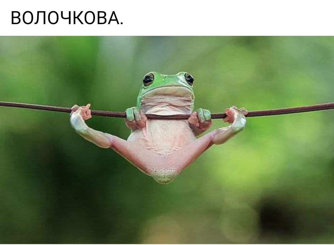 ВОЛОЧКОВА