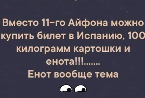 Вместо 11го Айфона можно купить билет в Испанию 100 килограмм картошки и енота Енот вообще тема ШШ