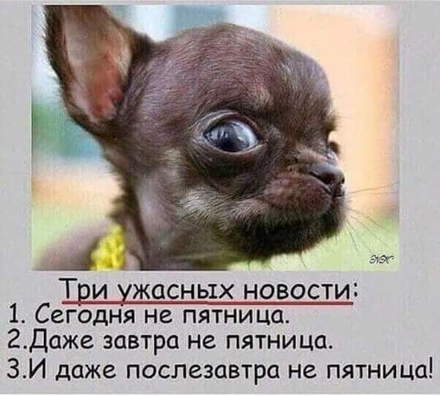 гэг Три хжасных новости 1 Сегодня не пятница 2Даже завтра не пятниш 3И даже послезавтра не пятницо