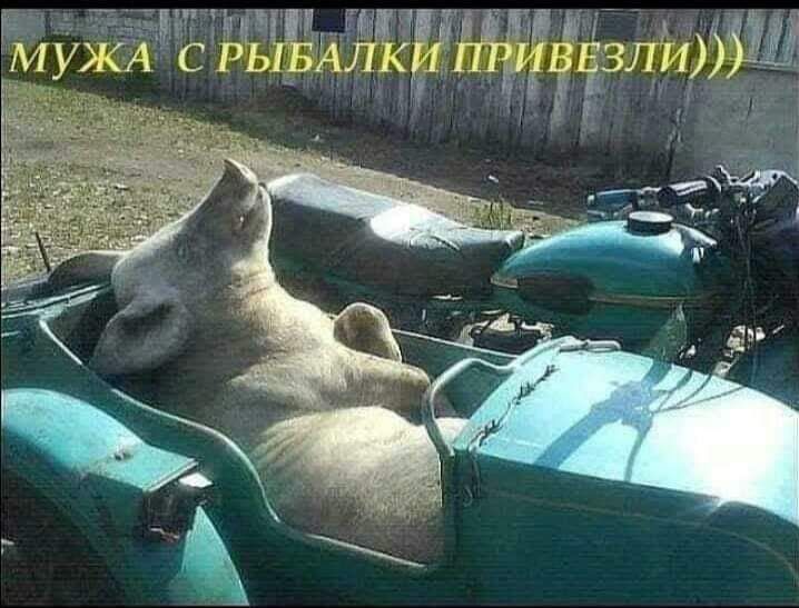 5тз гидами ЛУИС С РЫБАЛКИ П1_