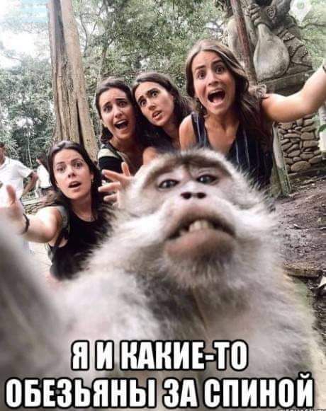 Ши ндцивёто оызьпны зд спинои