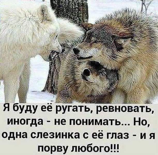 Я буду её ругать ревновать иногда не понимать Но одна слезинка с её глаз и я порву любого