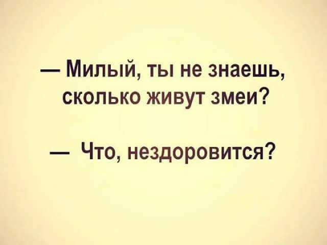 Милый ты не знаешь сколько живут змеи Что нездоровится