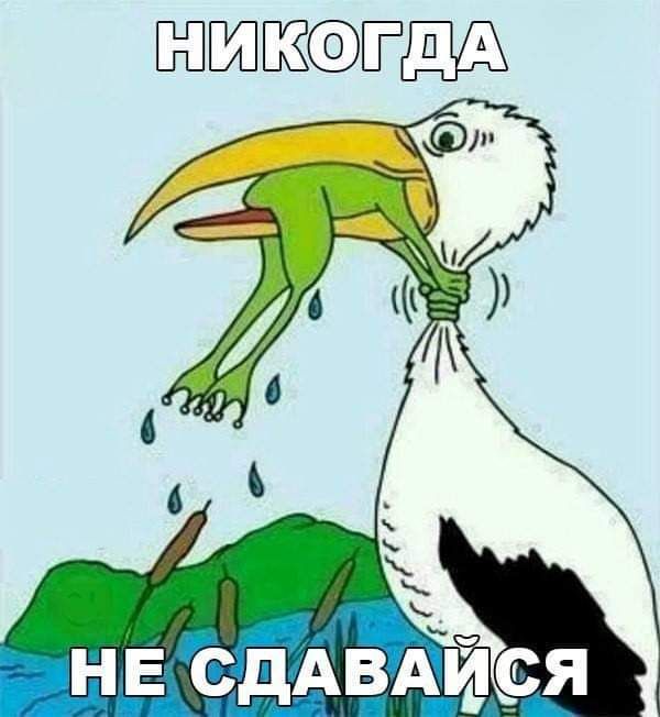 пмжфэтдд