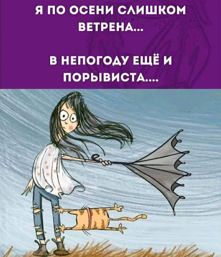 Я ПО ОСЕНИ САИШКОМ ВЕТРЕНА в непогоду ЕЩЁ и попывистм