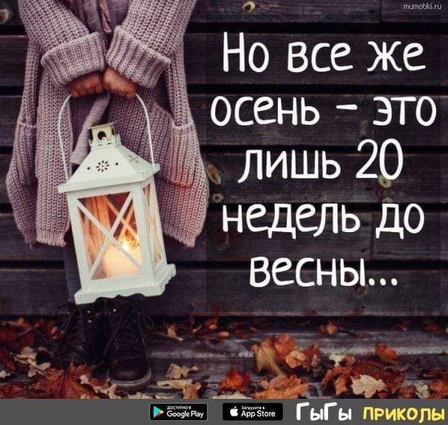 Но все же осень это д лишь 20 недель до весны
