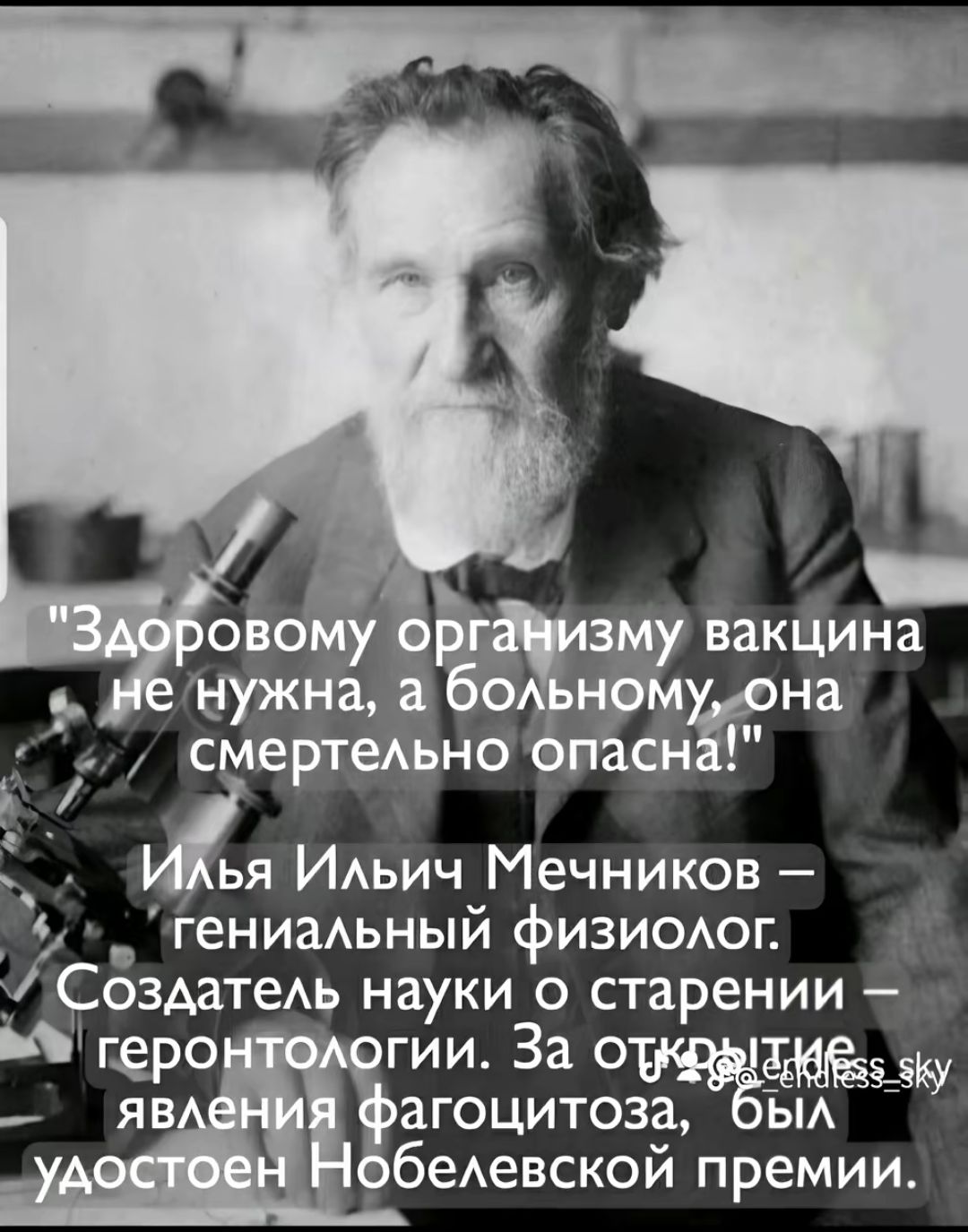 Чим вакцина смертемэно Зея Н ья ИАЬИЧ Мечников гениаАьный физиоюг СоздатеАь науки о старении Шгеро гии Зао 3 _ яв агоцитоза ьм беАевской премии