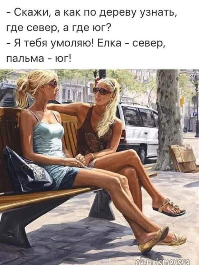 Скажи а как по дереву узнать где север а где юг Я тебя умоляю Елка север пальма юг
