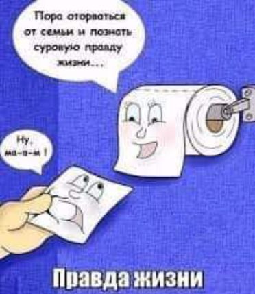 Правда живи