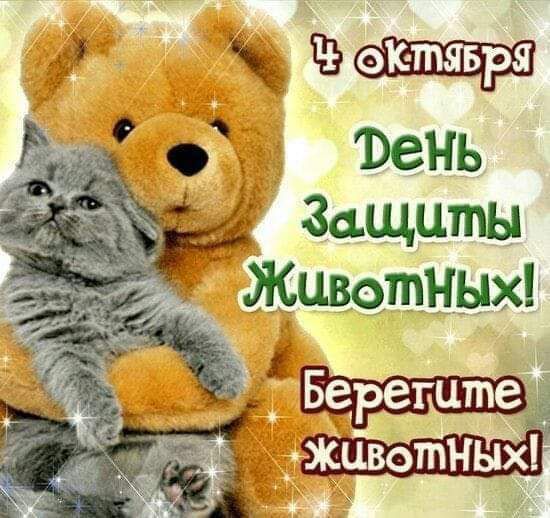 ч ЪЭНЬ Защиты Животный ЖивотНЫХі