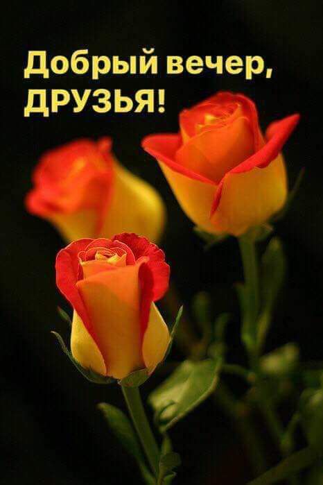 добрый вечер дРУЗЬЯ ш 3