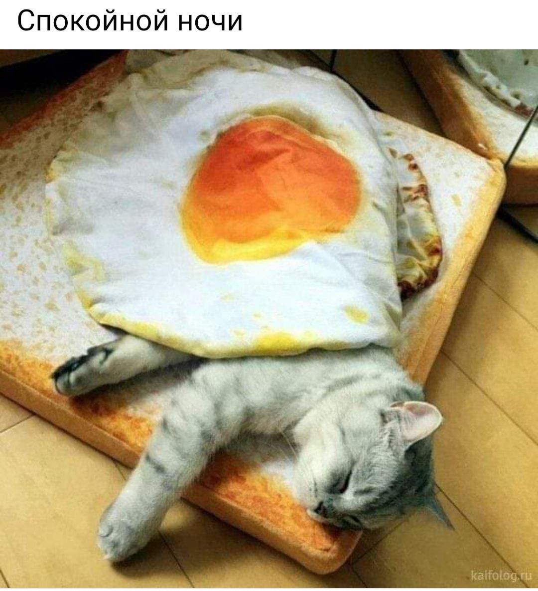Спокойной ночи