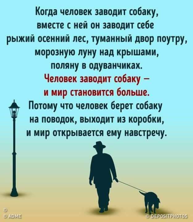 Когда человек заводит собаку вместе с ней он заводит себе рыжий осеииий лес тумаииый двор поутру морозную луку над крышами поляку в одуванчиках Человек заводит собаку И МИР ТПЮВИТСЯ больше Потому что человек берет собаку на поводок выходит из коробки и мир открывается ему навстречу