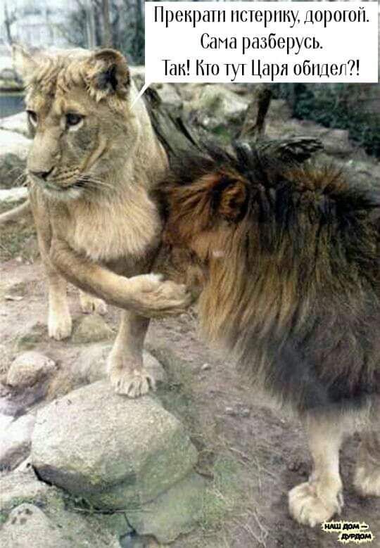 пэплнп нипэрнщшршон Шиа разбщцсь Мн Г Пири оби