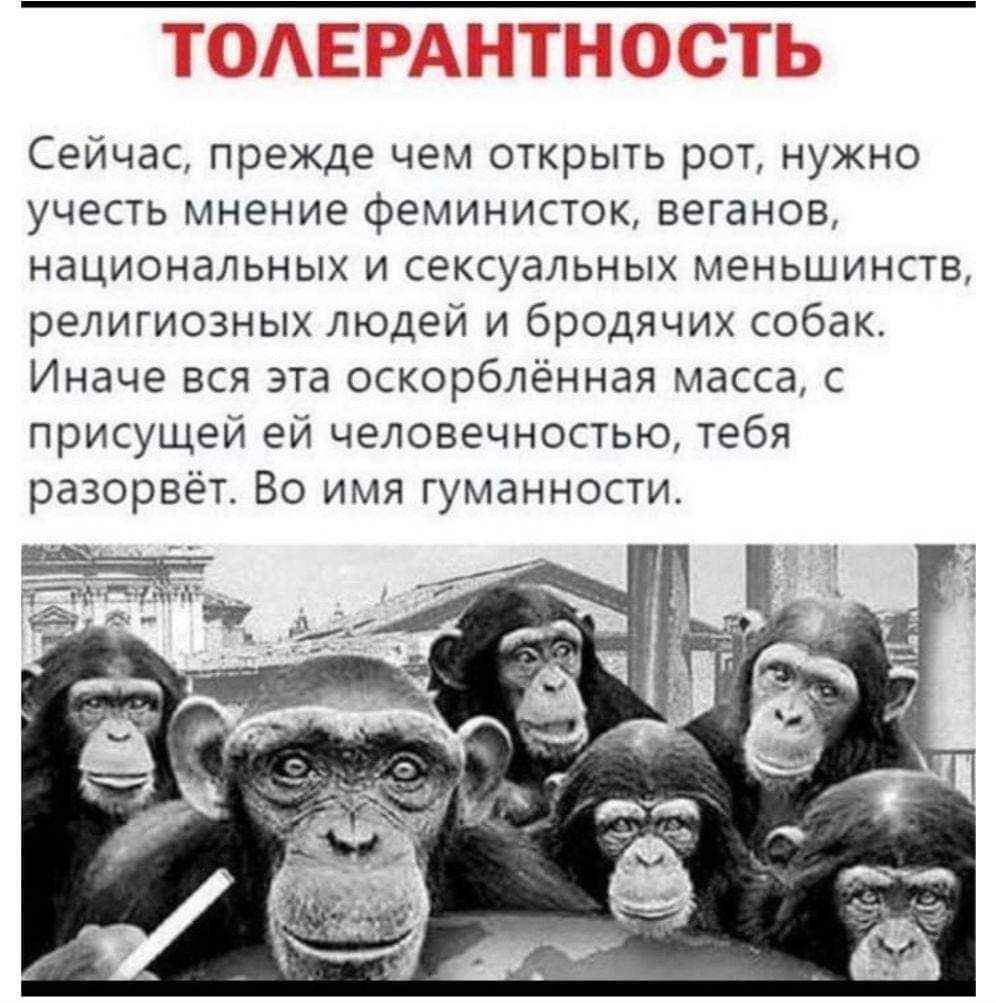 Сейчас прежде чем открыть рот нужно учесть мнение Феминистск веганов национальных и сексуальных меньшинств религиозных людей и бродячих собак Иначе вся эта оскорблённая масса с присущей еи человечностью тебя разорвё Во имя гумаиности
