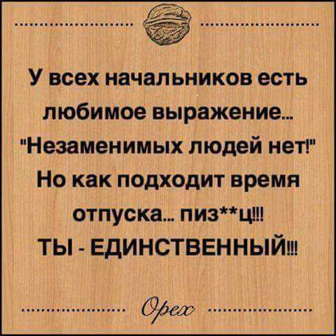 У всех начальников есть любимое выражение Незаменимых людей нет1 Но как подходит время отпуска пизцш ты Единстввнныйш 63064