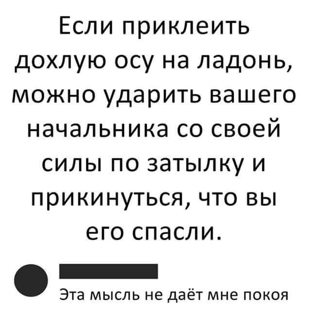 Если приклеить дохлую осу на ладонь можно ударить вашего начальника со своей силы по затылку и прикинуться что вы его спасли Эта мысль не даёт мне покоя