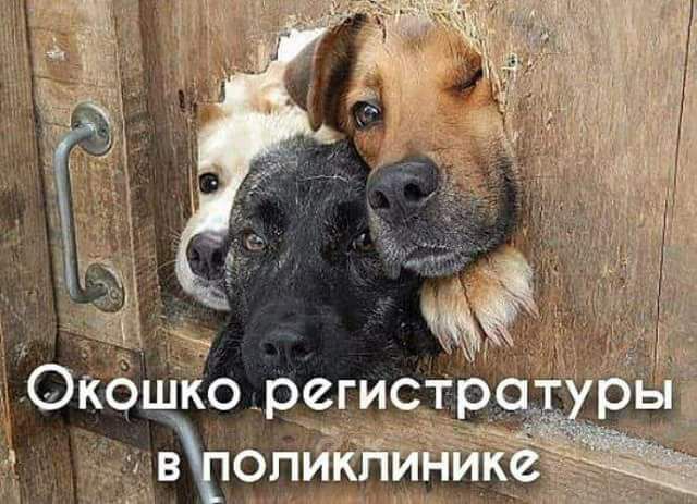 шко РЁГИСЦР