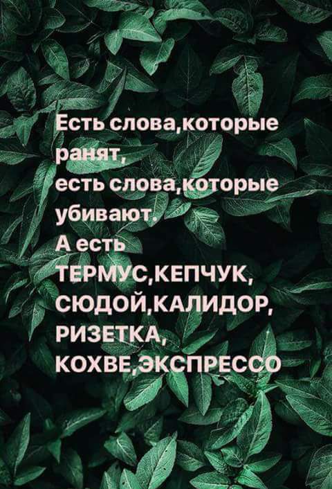 Ы Х311123033 КОТОРЫЕ есть СЗВЁ орые из И ЁЁ кнпчук сюдойьк дор ризщм КОХВЁЖЧЪРЁ ЦВЗ _