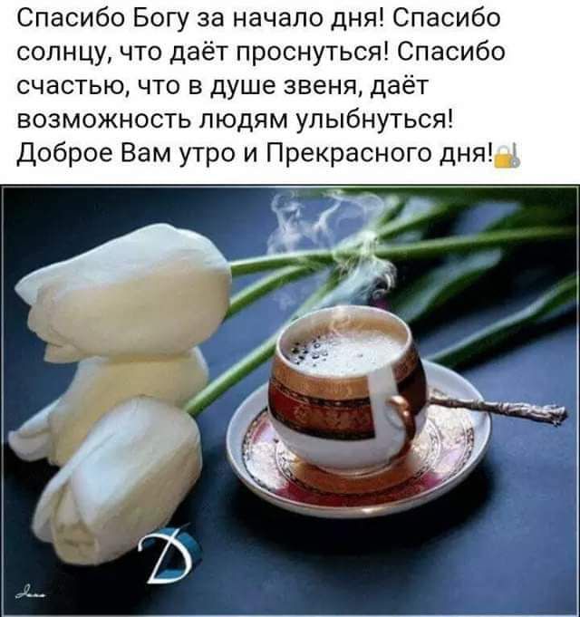 Спасибо Богу за начало дня Спасибо солнцу что даёт проснуться Спасибо счастью что в душе звеня даёт возможность людям улыбнуться Доброе Вам утро и Прекрасного дня
