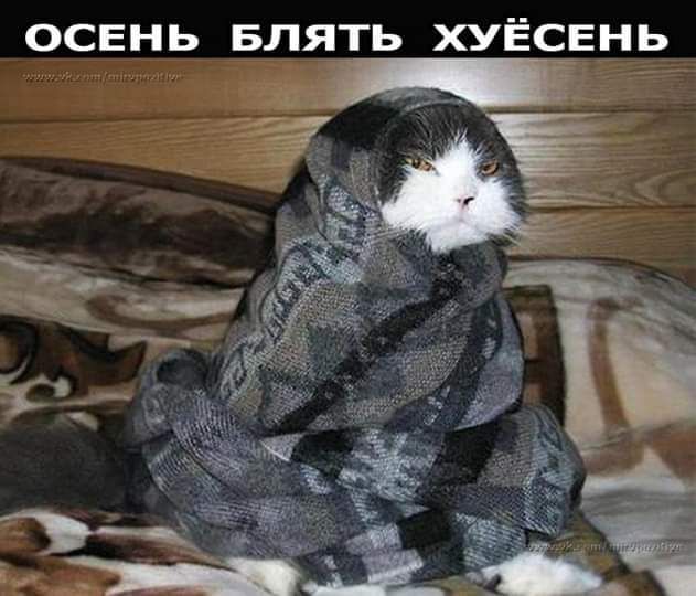 ОСЕНЬ БЛЯТЬ ХУЁСЕНЬ