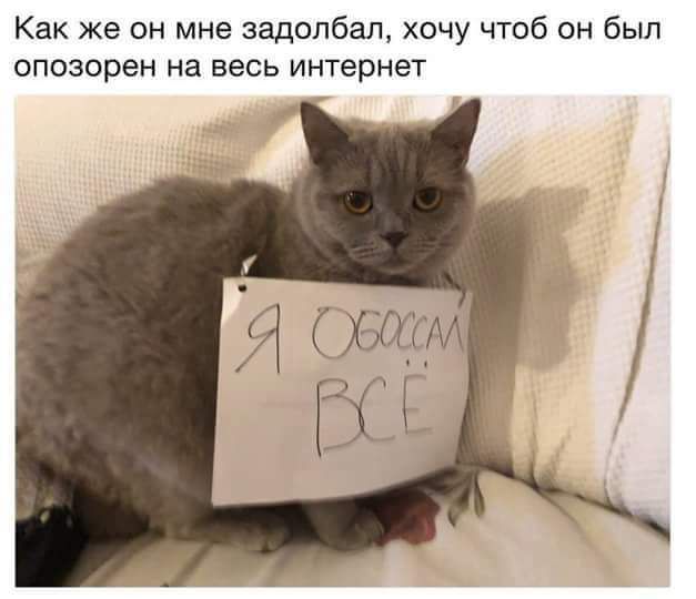 Как же он мне задолбал хочу чтоб он был опозорен на весь интернет