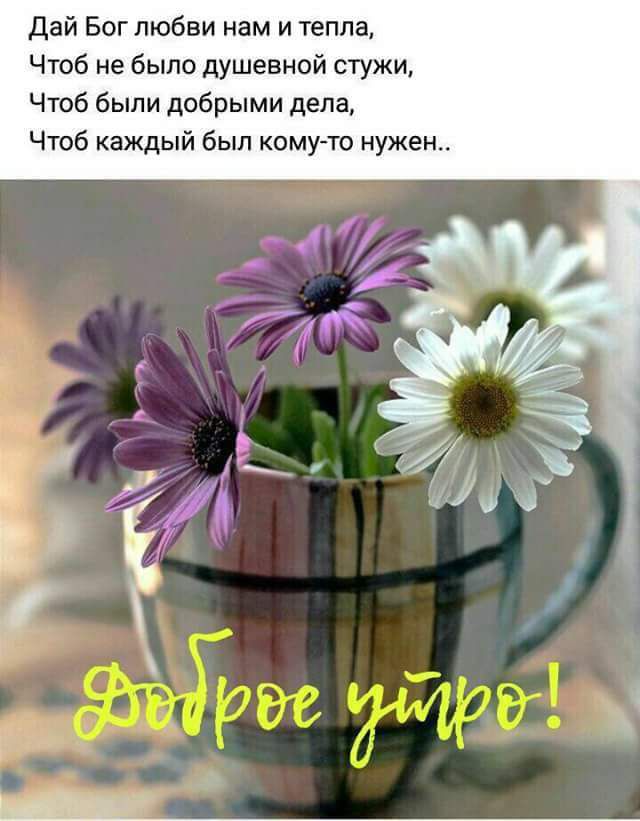 Дай Бог любви нам и тепла Чтоб не было душевной стужи Чтоб были добрыми дела Чтоб каждый был кому то нужен