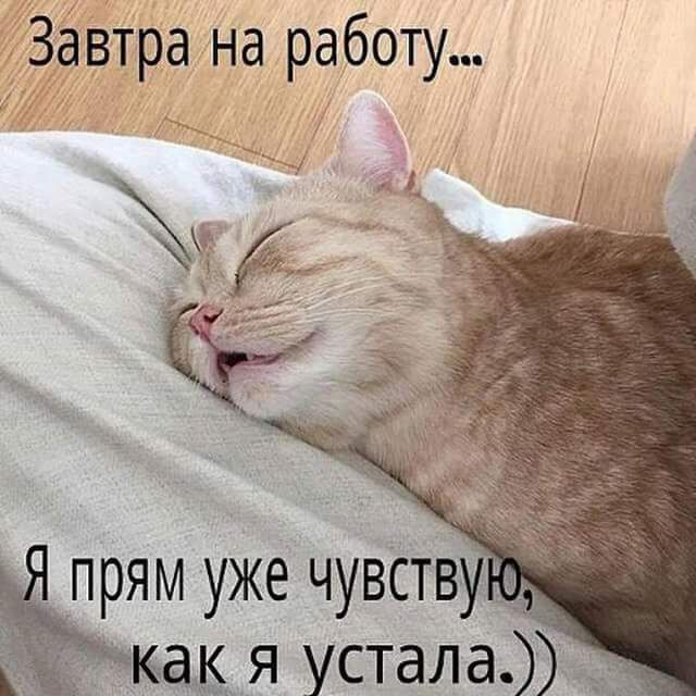 Завтра на работу _ Е прям уже чувСт _ _ я устала