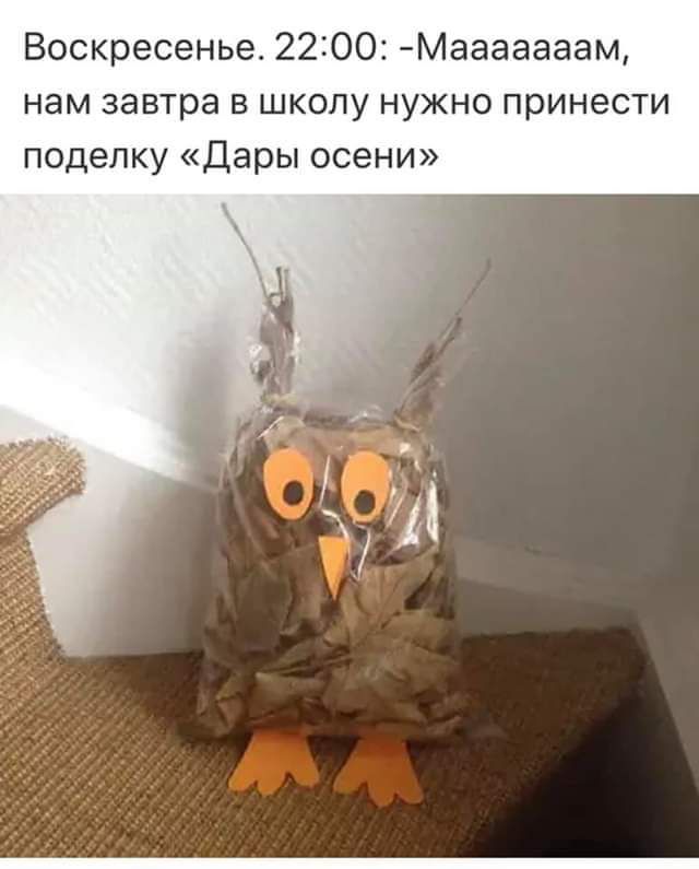 Воскресенье 2200 Мааааааам нам завтра В ШКОЛУ НУЖНО принести ПОДЭПКУ Дары ОСЕНИ