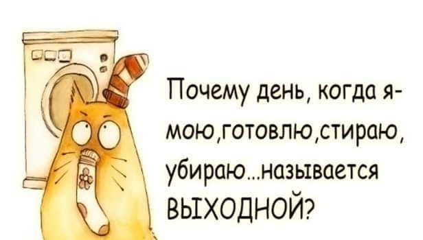 Почему день когда Я моюготовлюстираю убираюназывается выходной
