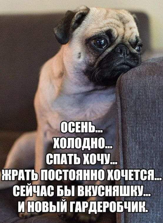 Зопдть хочіі шить постоянно пошол оейчпо вы виионншщ ИИЪВЫИ ПИдЕЮБЧИИ