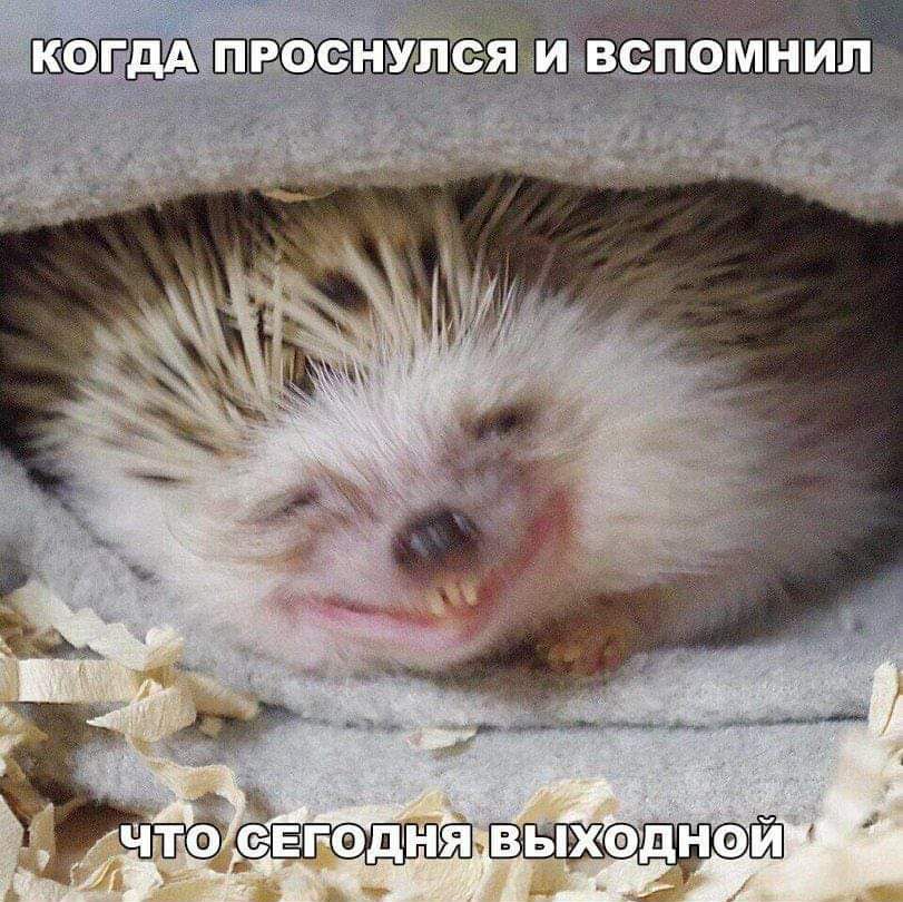 ВСПОМНИП