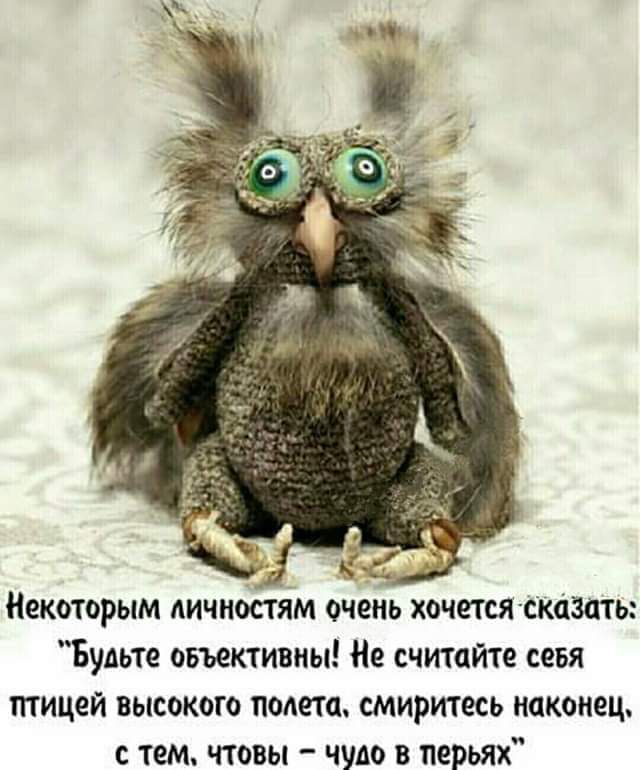 некоторым личностям очеъіь хочется сказать Будьте овъективны считпте сеня птицей высокого полета смиритесь наконец с тем чтовы чудо в перьях