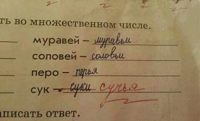 7 7 ъ ГЬ ВО МНОЖЕСТВЭННОМ числе _ муравей _ соловей мамаша _ перо д _ сук 9 щисать ответ