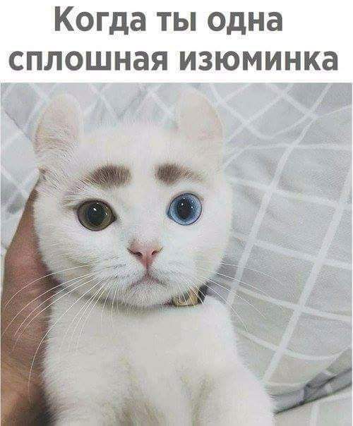 Когда ты одна сплошная изюминка