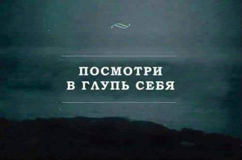 цветёт _в или вия