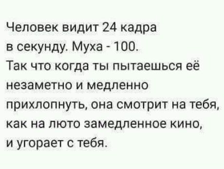 Человек видит 24 кадра в секунду Муха 100 Так что когда ты пытаешься её незаметно И медленно прихлопнуть она смотрит на тебя как на люто замедленное кино и угорает с тебя