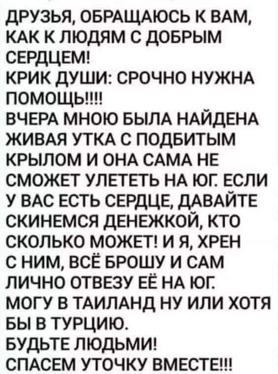 друзья ОБРАЩАЮСЬ к ВАМ КАК к людям с доврым СЕРДЦЕМ крик души срочно НУЖНА помощыш ВЧЕРА мною БЫЛА НАЙДЕНА ЖИВАЯ УТКА с подвитым крылом и ОНА САМА НЕ сможет улнтьгь НА юп если у ВАС есть сердце дАВАЙТЕ скинемся денежкой кто сколько может и я хрен с ним всё БРОШУ и САМ лично отвезу ЕЁ НА юг могу в ТАИЛАНД ну или хотя вы в турцию БУДЬТЕ ЛЮДЬМИ СПАСЕМ уточку вмвстеш