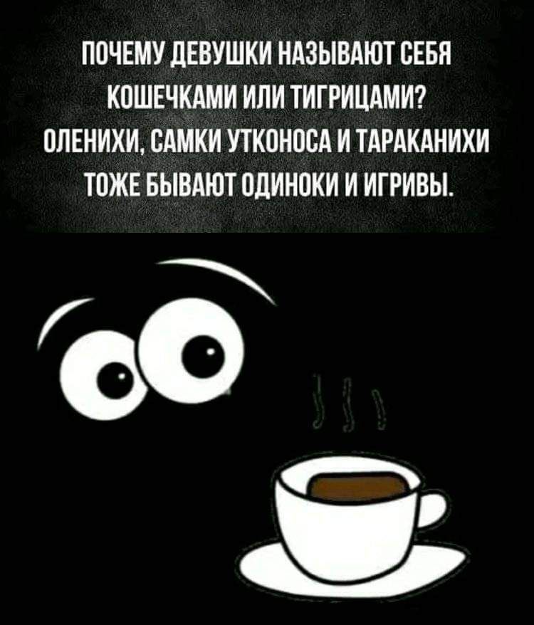 ПОЧЕМУ дЕВУШКИ НАЗЫВАЮТ ЕЕБП КПШЕЧКАМИ ИЛИ ТИПИЦАМИ 0ЛЕНИХИ САМКИ УТКПНПБА И ТАРАКАНИХИ ТЦЖЕ БЫВАЮТ ПЦИМПКИ И ИГРИВЫ ъ