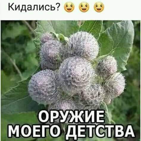 ОРУЖИЕ МОЕГО ДЕТЫВА