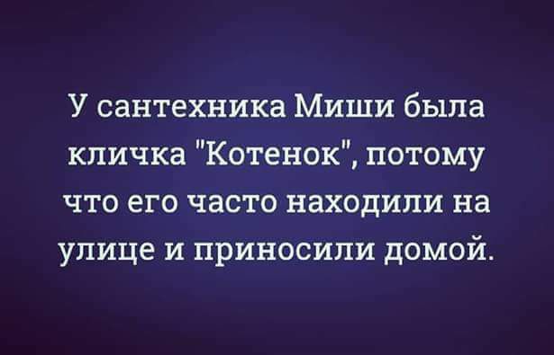 У сантехника Миши была кличка Котенок потому что его часто находили на улице и приносили домой