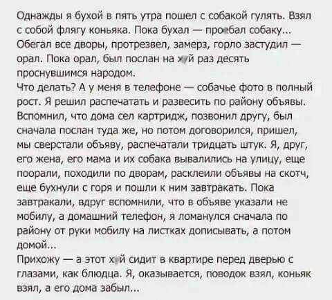 амиши Бухвй пять утра псп ен шбатй гул в с собой Флягу синяка Пока бухал присел таку Обетп все дворы замерз гирло запудип врал Пока опал Был послан на чй раз деть прошувшимсч иаролпм Что дит А у меня в гетФоне собачье Фото пенный 9017 Я решил папиэчатаи и развесить по найму объявы Вспомнил чт дома сел картридж другу был сначала послан туда же по пищи поговорим пришел мы травли объяву патечаппи рид