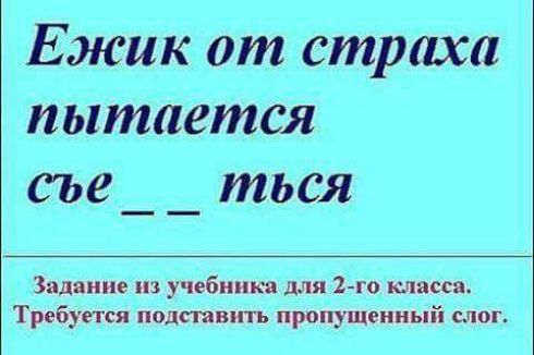 Ежик от страха пытается сье _ ться Задание из учебника для Ъго шасси Требуется подтвить пропущенный слог