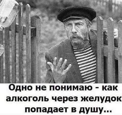 7 ОДНО Не понимаю как алкоголь через желудок попадает в душу