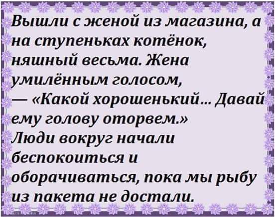 гттттттттттттттч оборачиваться пока мы рыбу из пакета не достали 4 Вышли сженой из магазина и на ступеньках котёнок няшный весьма Жена Ъ умилённым голосом Какой хорошенький Дпвай _ ему голову оторвем Люди вокруг начали беспокоиться и і